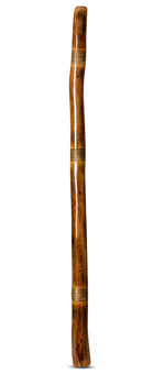 Rodney Jungala King Didgeridoo (TW566)